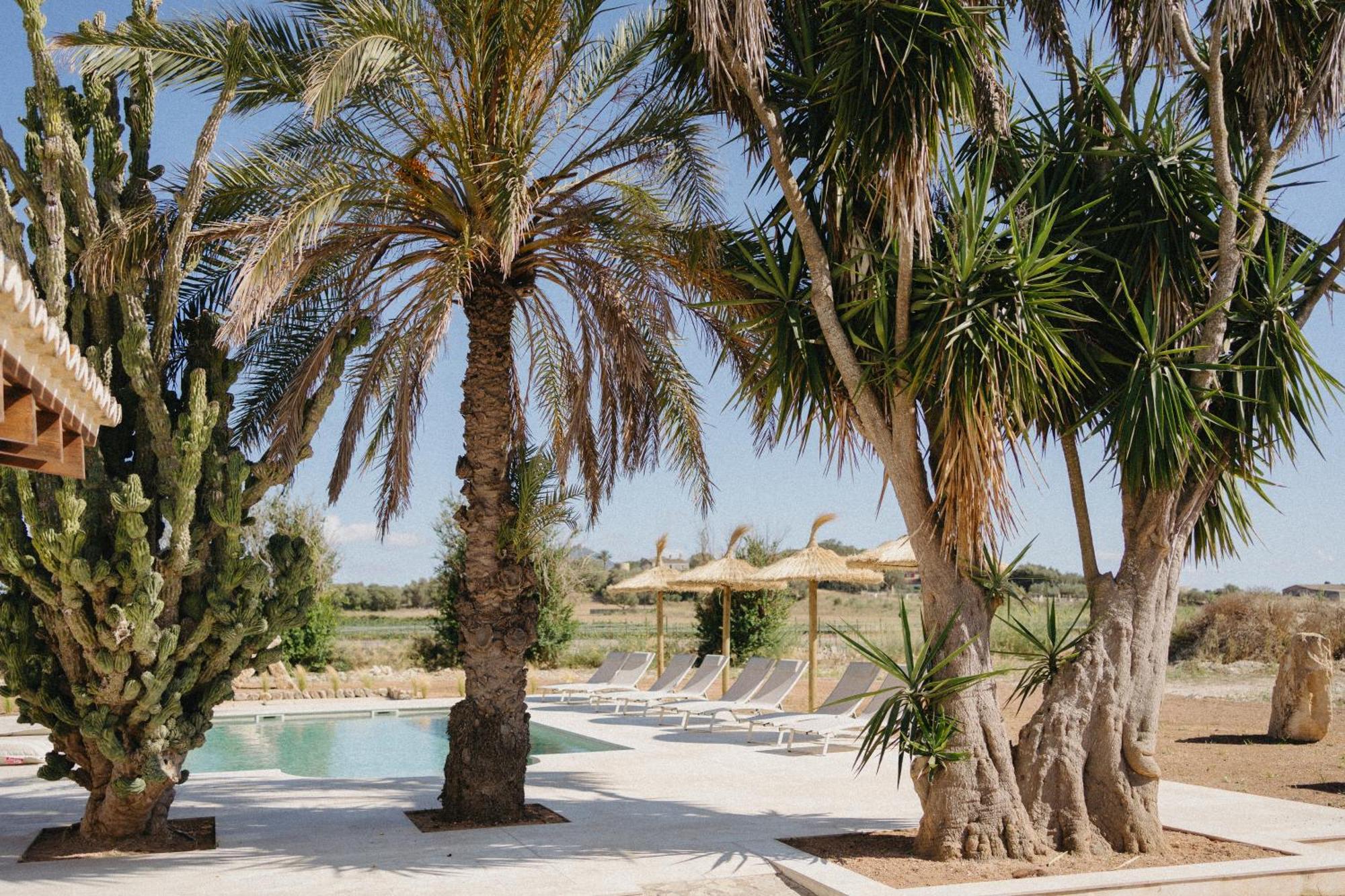 Vino Resort Son Amaret Làng Son Macia Ngoại thất bức ảnh