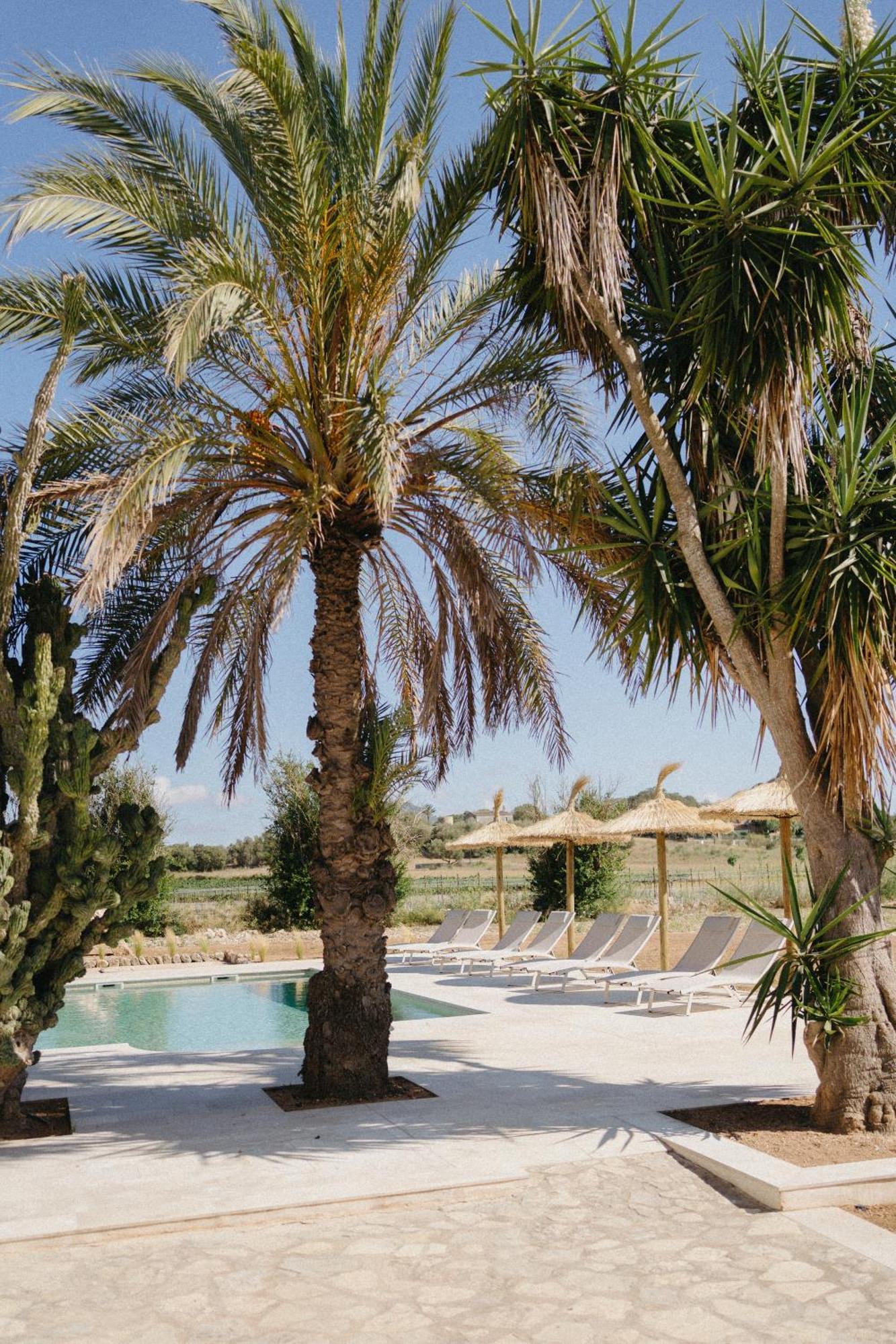 Vino Resort Son Amaret Làng Son Macia Ngoại thất bức ảnh